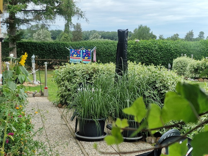 Ferienwohnung in Dahme - Gudrun - Bild 12