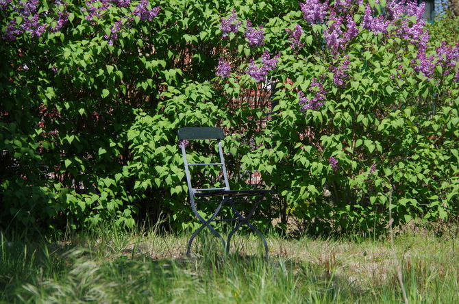 Ferienwohnung in Barhöft - Lotsenwohnung - Lotsenhaus Barhöft - Lotsenhaus - Garten