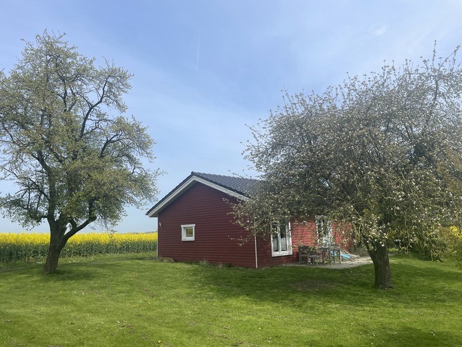 Ferienhaus in Neustadt - Holzhaus - Bild 12