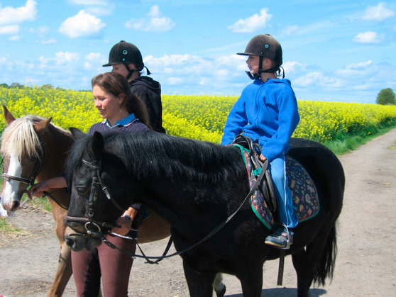 Ferienhaus in Fehmarn OT Todendorf - K&ouml;hlbrandt - Bild 2