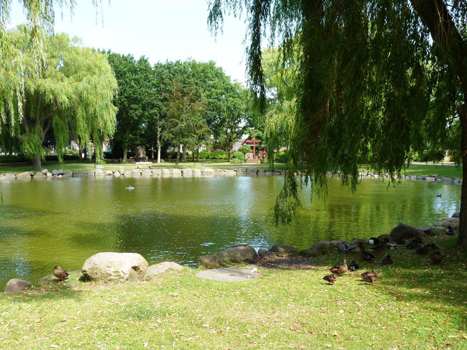 Ferienwohnung in Fehmarn OT Petersdorf - Entennest - Bild 10