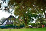 Ferienhaus in Gro&szlig; Zicker - Sanddorn - Bild 1