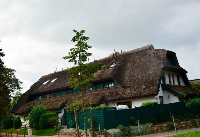 Ferienhaus in Gro&szlig; Zicker - Strandflieder - Bild 15