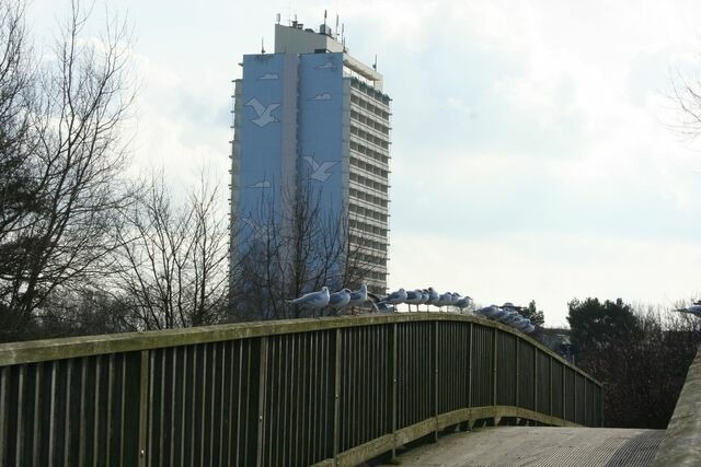 Ferienwohnung in Schönberg - Appartement K110 - Bild 13