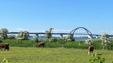 Ferienwohnung in Gro&szlig;enbrode - Ferienwohnung Meeresblick - Bild 22