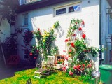 Ferienwohnung in Klingberg - romantische Ferienwohnung Sachsenhof 2 - Bild 21