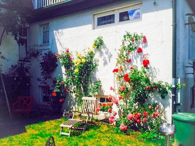Ferienwohnung in Klingberg - romantische Ferienwohnung Sachsenhof 2 - Bild 21