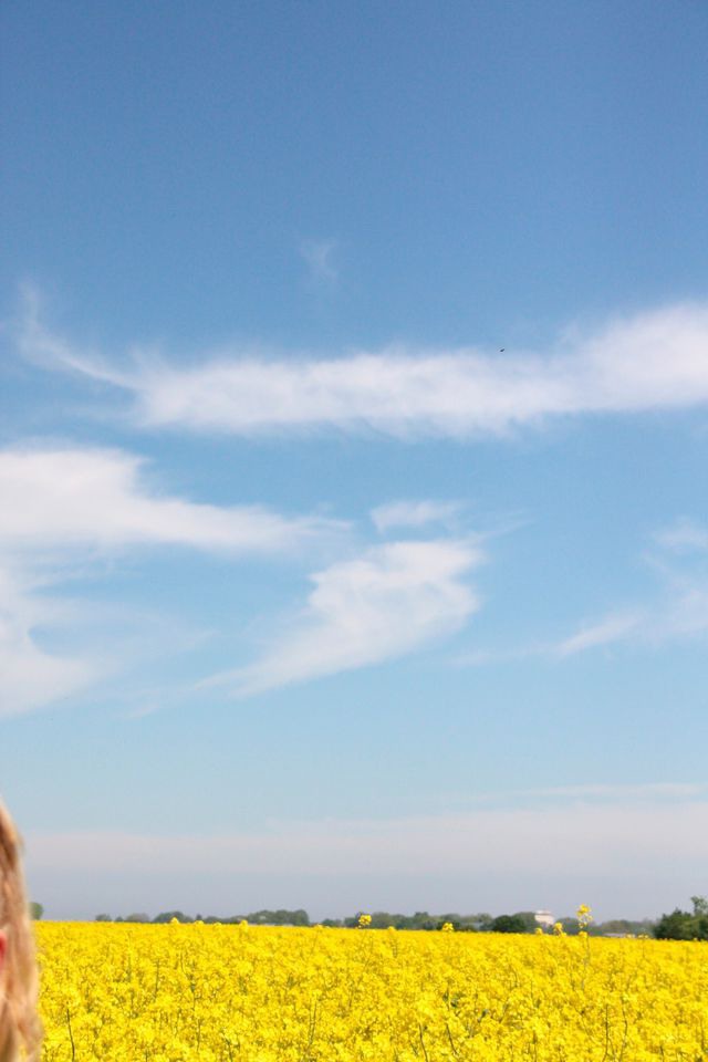 Ferienwohnung in Fehmarn OT Todendorf - Ferienwohnung "M&ouml;wennest" - Bild 8