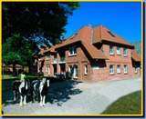Ferienwohnung in Fehmarn OT Presen - "Ferienhof Rießen" Utspan Nr. 67 - Bild 1