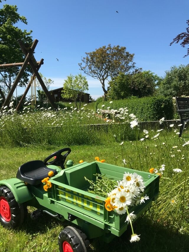 Ferienwohnung in Fehmarn OT Sulsdorf - Bauernhof Kleingarn - Bauernhus 13 - Bild 18