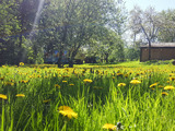 Ferienhaus in Carinerland - "Räuberhütte" :---) - Bild 20