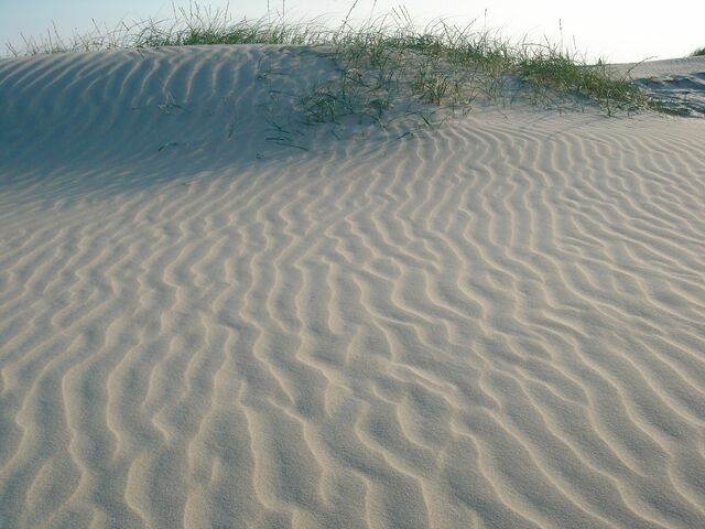 Ferienwohnung in Haffkrug - Strandl&auml;ufer - Bild 9