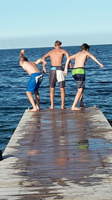 Ferienwohnung in Fehmarn OT Todendorf - Muschelkorb - Bild 6