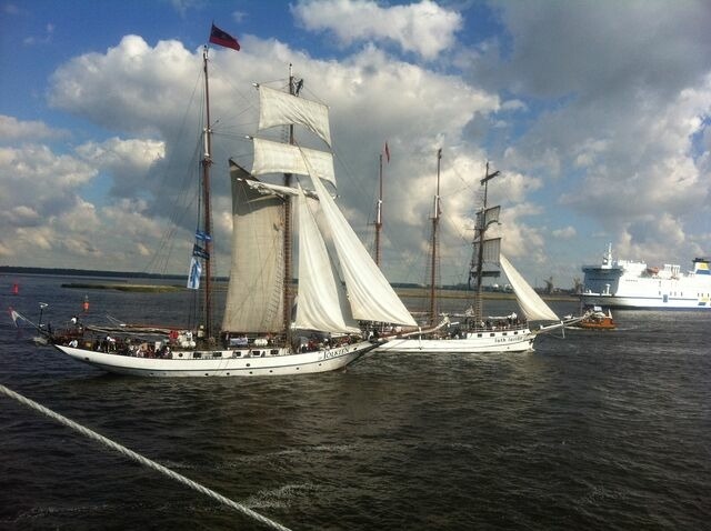 Ferienwohnung in Rostock - App. Forelle - Bild 19