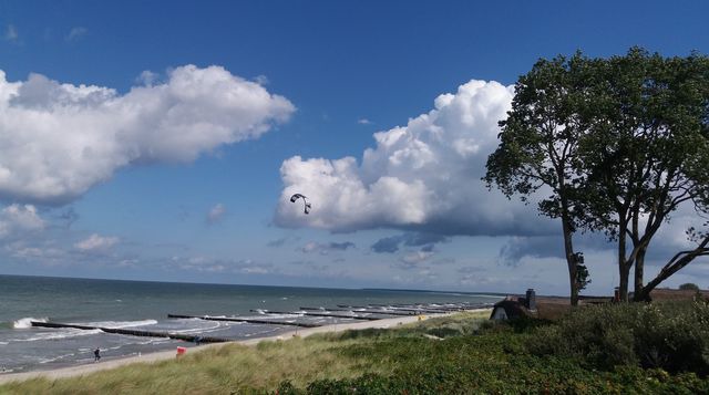 Ferienwohnung in Prerow - Ferienwohnung "Nordstrand" - Bild 13