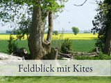 Ferienwohnung in Fehmarn OT Sulsdorf - Hirschfeld Hus (9168/I) - Fehmarn - Bild 10