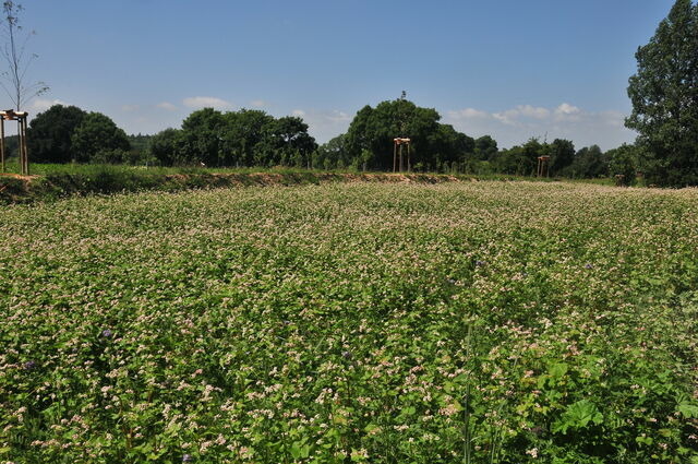 Ferienwohnung in Loose - Zuhause mit Aussicht - Bild 25