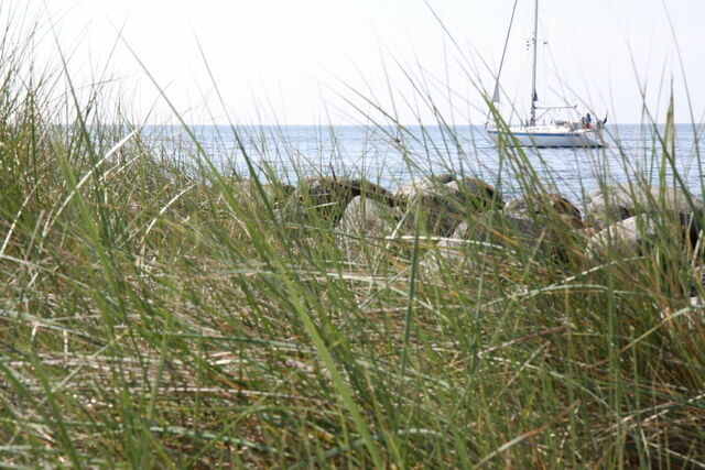 Ferienwohnung in Fehmarn OT Burgtiefe - FeWo93816 - Bild 23