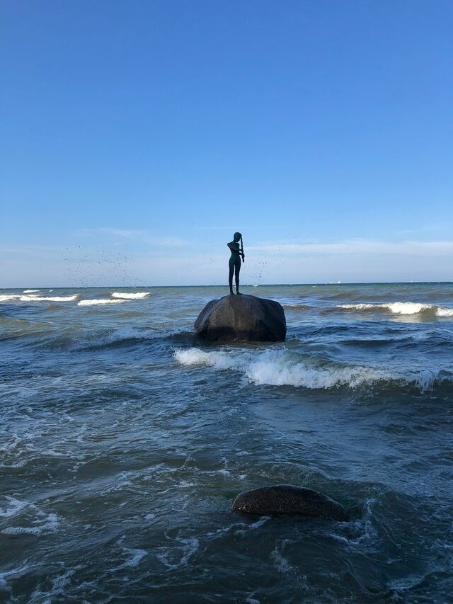 Ferienwohnung in Sellin - Ferienhaus zum Südstrand App. 4 - Bild 19