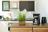 Ferienwohnung in Gr&ouml;mitz - K1 - Strandhaus K&ouml;nigsberger Allee 8 - FERIENDOMIZIL HOLLICH - Bild 22
