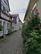 Ferienwohnung in Eckernförde - Borby-Haus - Bild 21