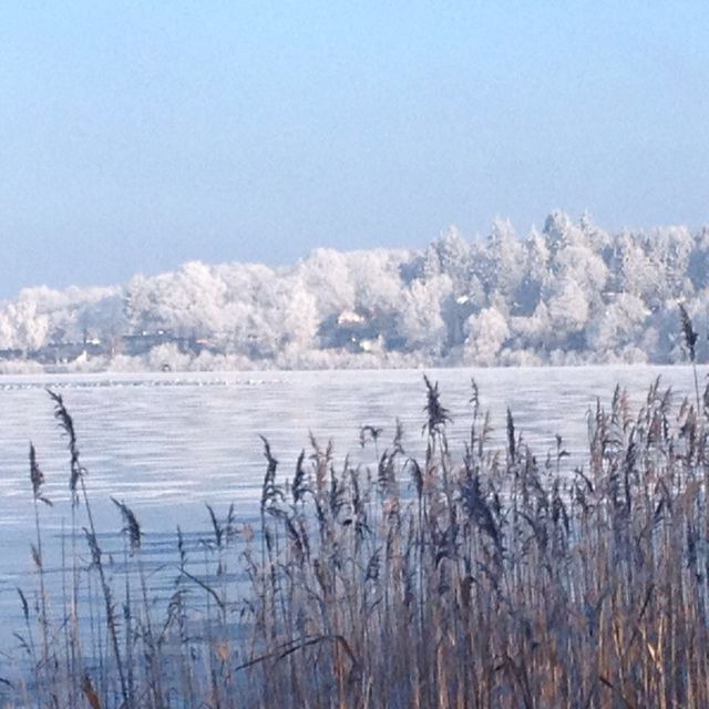 Doppelzimmer in Scharbeutz - Romantisches Ferienzimmer 12 - Bild 14