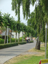 Ferienwohnung in Zingst - Anni - Bild 15