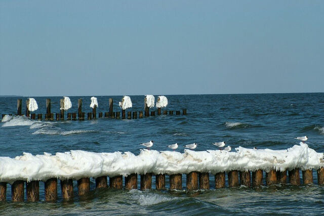 Ferienwohnung in Zingst - Anni - Bild 16