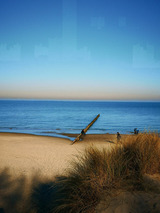 Ferienwohnung in Zingst - Strandperle 11, PP außen - Bild 13
