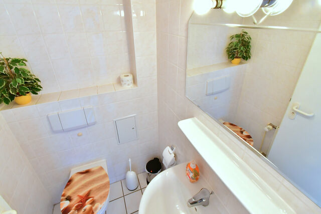 Ferienwohnung in Zingst - Strandperle 11, PP außen - Bild 22