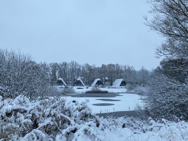 Ferienhaus in Marlow - Finnhäuser am Vogelpark - Haus Anke - Bild 13