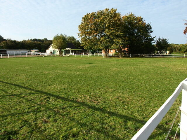 Ferienwohnung in Klaustorf - Heimathafen (Whg. 2) - Bild 19
