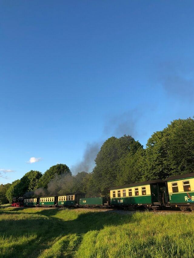 Ferienwohnung in Zirkow - Fewo Storchennest - Bild 19
