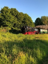 Ferienwohnung in Zirkow - Fewo Storchennest - Bild 20