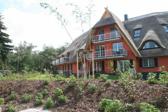 Ferienwohnung in Dierhagen - Balkon-Maisonette-Ferienwohnung - Bild 4