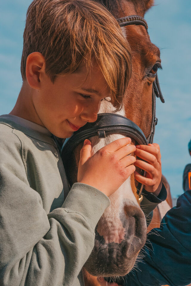 Ferienwohnung in Fehmarn OT Westermarkelsdorf - Marin - Bild 17