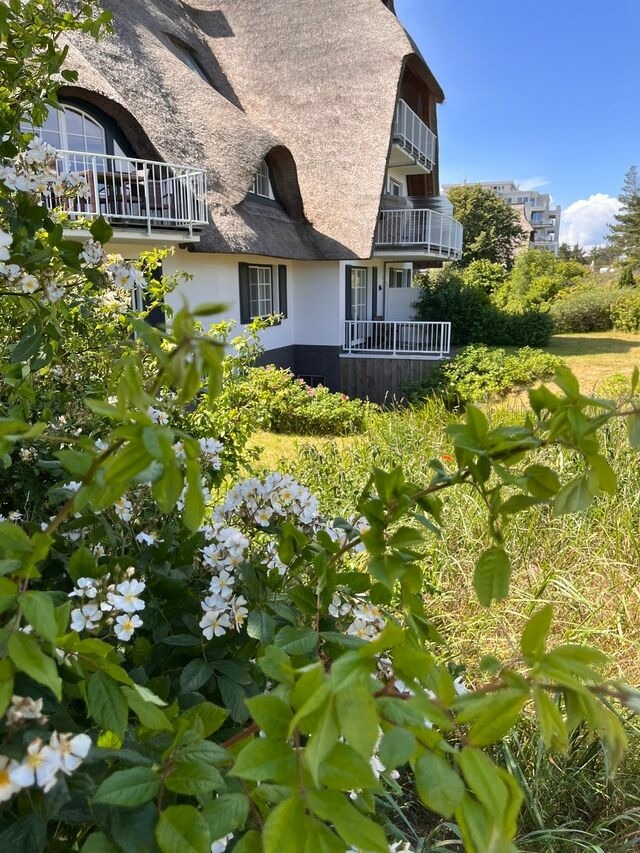 Ferienhaus in Dierhagen - D&uuml;nenmeer Ferienh&auml;user - Bild 21