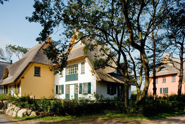Ferienhaus in Dierhagen - D&uuml;nenmeer Ferienh&auml;user - Bild 3
