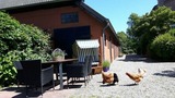Ferienwohnung in Fehmarn OT Sahrensdorf - Ferienwohnung Himmelblau auf dem Ferien + Bauernhof Nielson in Bisdorf in Inselmitte - Bild 22
