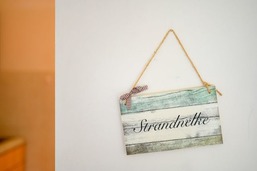 Strandnelke