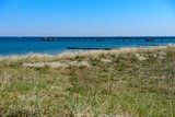 Ferienwohnung in Graal-M&uuml;ritz - Strandnelke - Bild 24