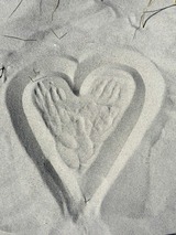 Ferienwohnung in Ostseeheilbad Zingst - Kranich - Bild 9