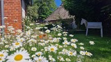 Ferienwohnung in Riepsdorf - Neu! Kreativ- Workshops f&uuml;r unsere G&auml;ste - Bild 12