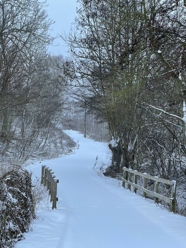 Ferienwohnung in Steinbeck - MP 7 Backbord - Bild 14