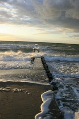 Ferienwohnung in Born a. Darß - Ferienwohnung Nr. 03 (EG + OG) - Bild 25