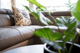 Ferienwohnung in Scharbeutz - TER/215 - Terrassenhuegel - Seeblick - Bild 2