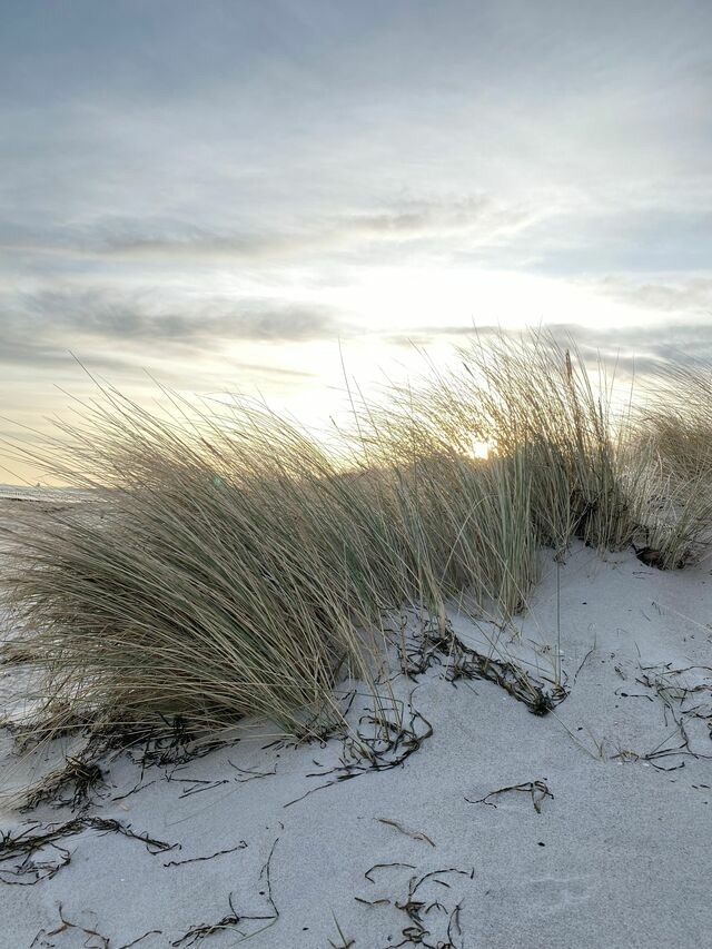 Ferienwohnung in Ostseeheilbad Zingst - Me(e)hrblick App. 215 - Bild 22
