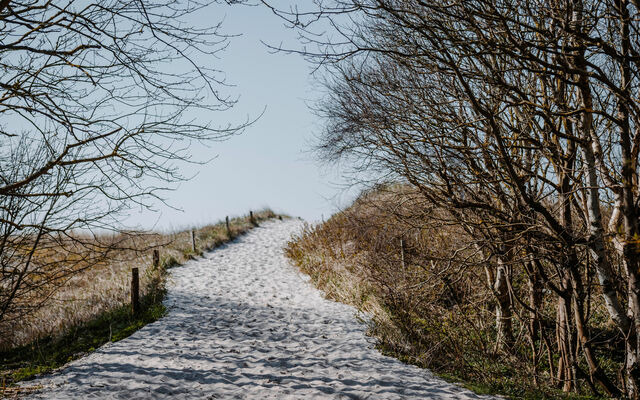 Ferienwohnung in Ahrenshoop - Strandtraum 1 - Bild 8