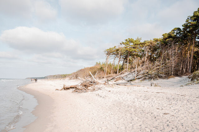 Ferienwohnung in Ahrenshoop - Strandtraum 2 - Bild 8