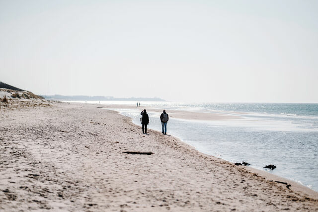 Ferienwohnung in Ahrenshoop - Stranddistel 5 - Bild 10